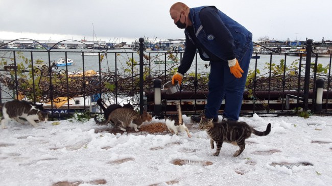 Kdz.Ereğli Belediyesi minik dostlarımızı unutmadı