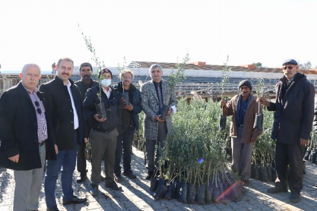 Manisa 'da üreticiye meyve fidanı dağıtıldı