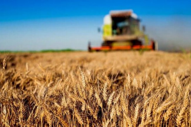 'Kırsal Kalkınmada Uzman Eller'e 600 milyon liraya hibe