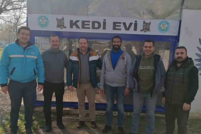 Kedi Evi'ne Babesia taraması