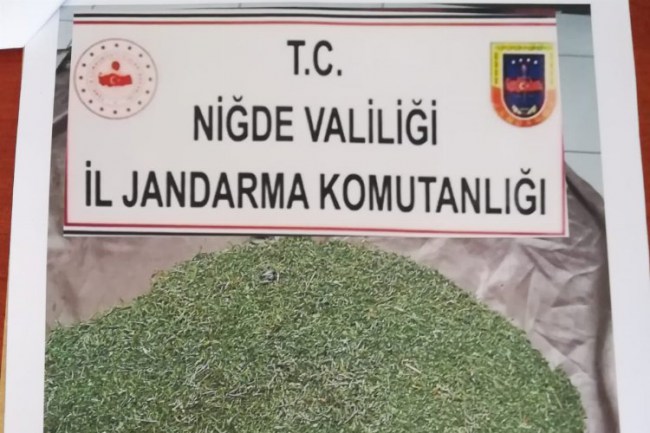 Niğde Jandarma Komutanlığı kilolarca esrar ele geçirdi