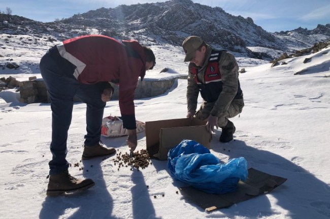 Jandarma ekiplerinden yaban hayvanlarına yem