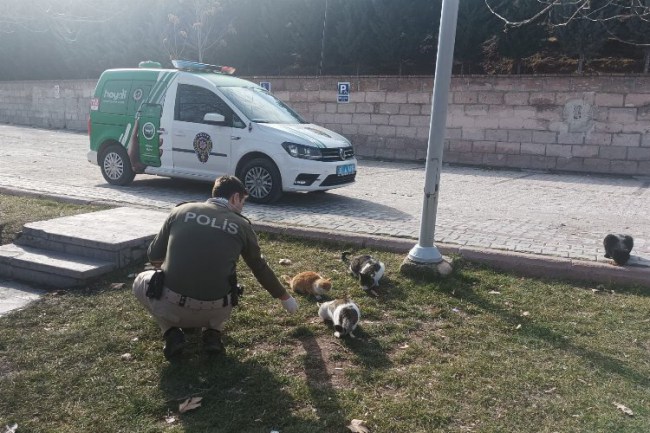 Aksaray'da polis sokak hayvanlarına mama dağıttı