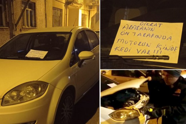 Araç motoruna sıkışan kedi kurtarıldı