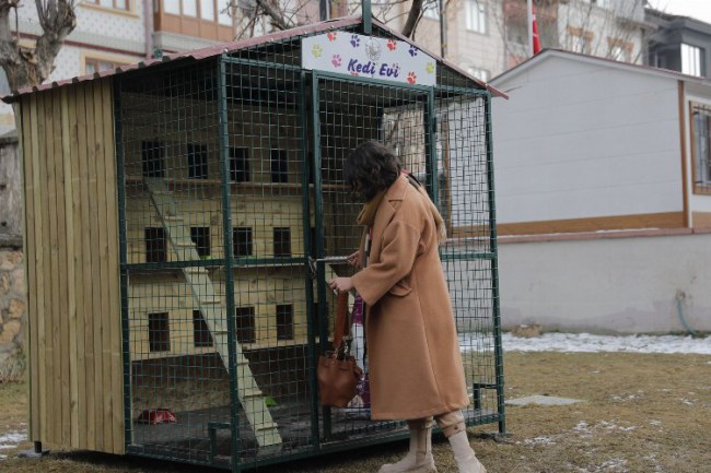 Sivas'ta kediler için ev yapıldı