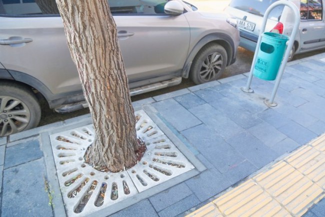 Ağacın toprağını çöp sananlar