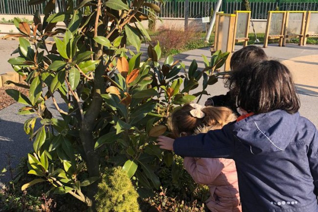 Kocaeli İzmit'te minikler ağacını buldu