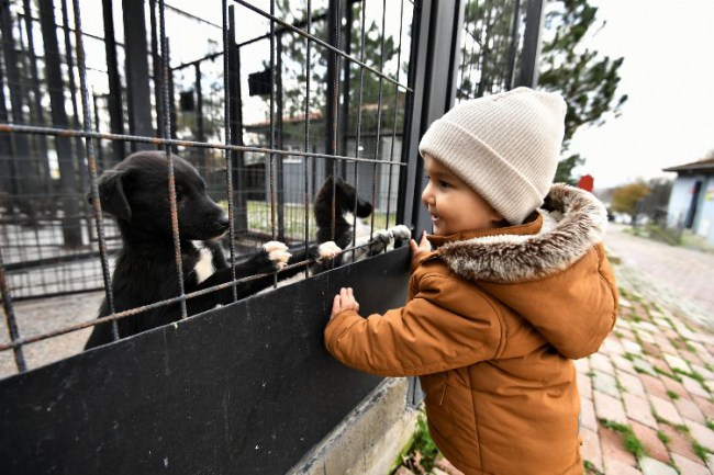 Bursa Osmangazi'de can dostlara hem şifa hem yuva