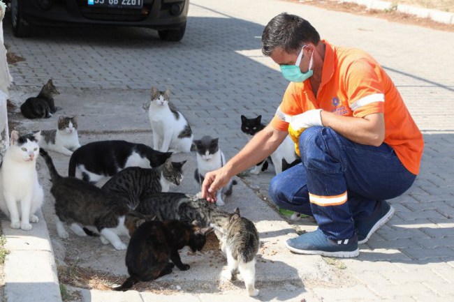 İzmir Gaziemir'de artık gıdalar sokak hayvanlarına