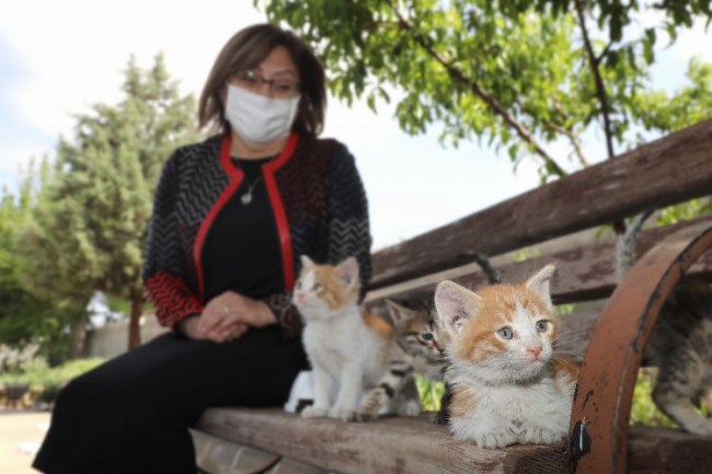 Gaziantep'te can dostlarına mama desteği devam ediyor