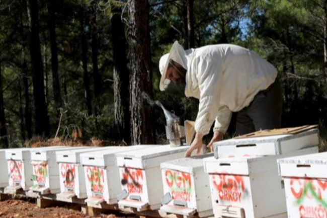 11 bin orman köylüsüne destek