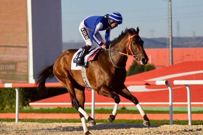 Kocaeli Başkanlık Kupası'nı "Cagner" kazandı