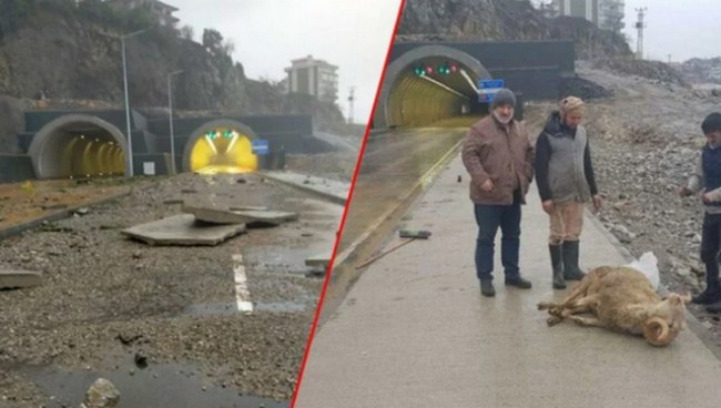 Kilimli yolunda nazar için kurban kesti