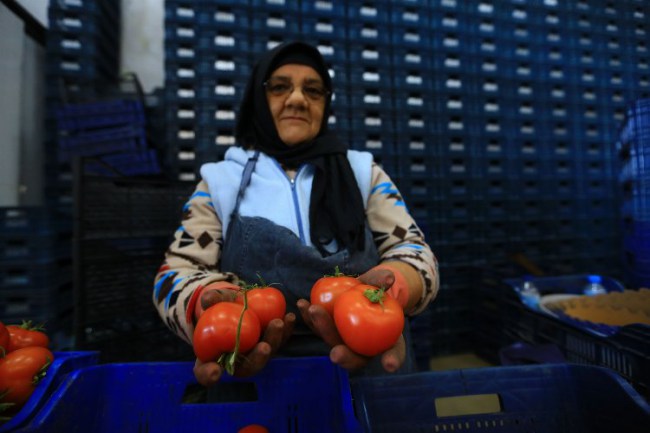 Muğla Büyükşehir, toptancı hal esnafına "kefil" oluyor