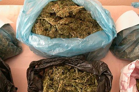 Zonguldak'ta esrar operasyonu