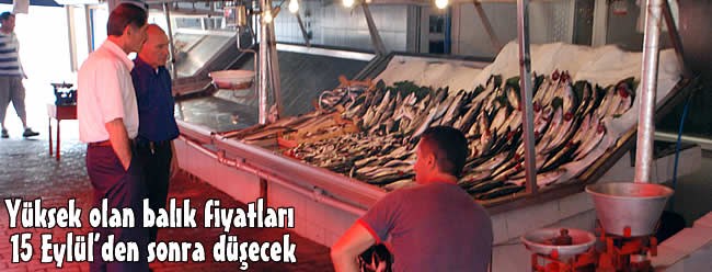 "15 Eylül'den sonra doya doya balık yiyeceksiniz"