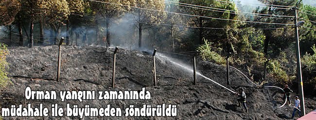 Orman yangını zamanında müdahale ile büyümeden söndürüldü