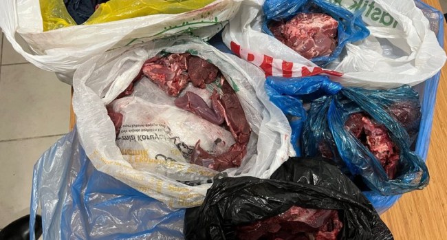 Devrek'te Karaca avcıları yakalandı