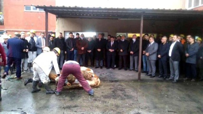 TTK, Amasra’da mekanize panoda üretime başlandı