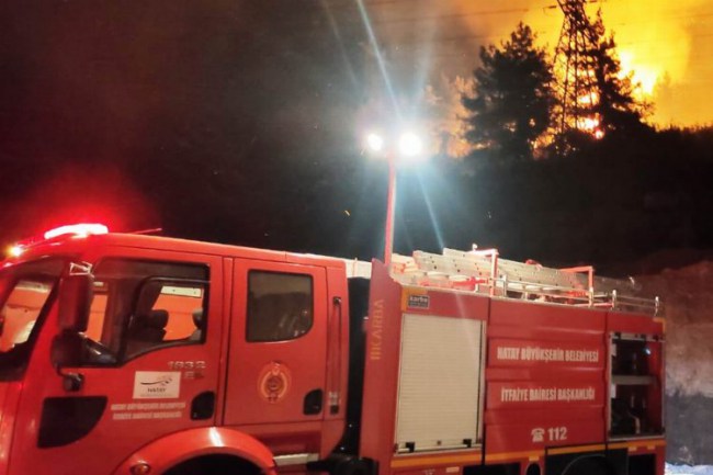 Hatay'da orman yangını