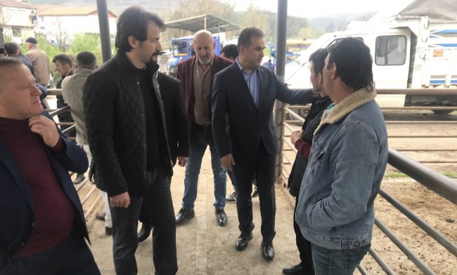 Zonguldaklı hayvan üreticileri zorda