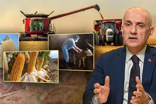 Bakan Kirişci: Saat 18'den sonra hesaplarda