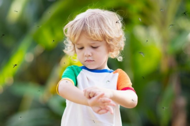 "İtalya'da Sivrisinekle Mücadele" webinarı 6 Mayıs'ta