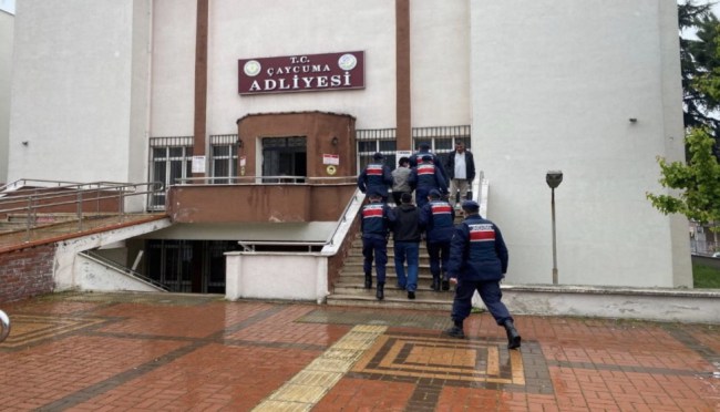 Zonguldak-Karabük Demiryolu fareleri yakalandı