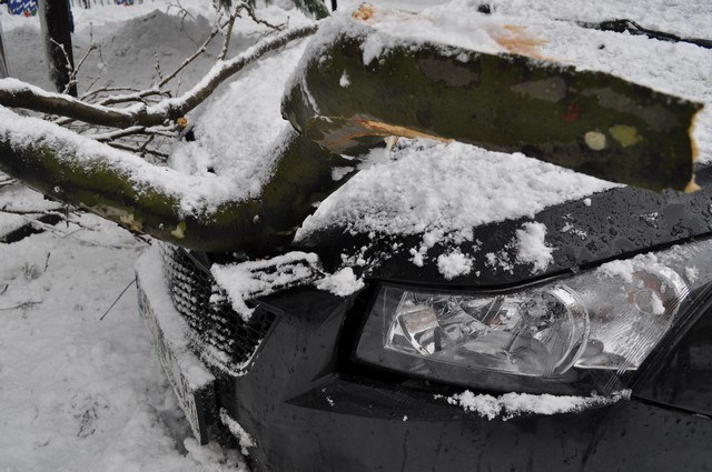 Üstüne ağaç düşen 2 araç hasar gördü