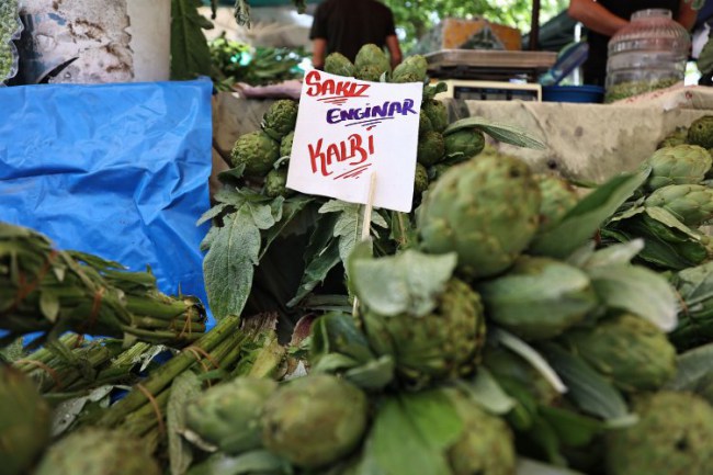 İzmir Urla'da Enginar Festivali bereketi