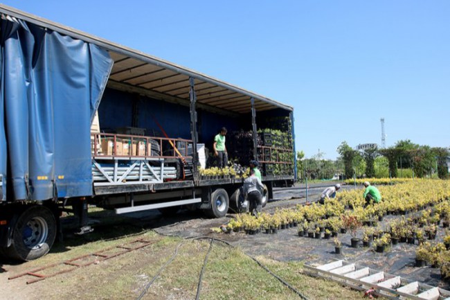 Kıbrıs Güzelyurt'a Sakaryapark kuruluyor