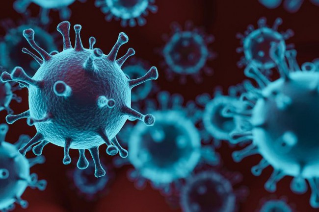 Maymun Çiçeği küçük çocukları daha fazla etkiliyor