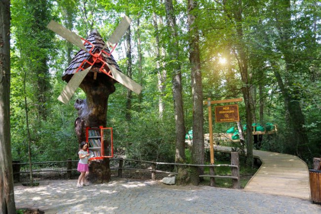 50 ülkenin en iyisi "Ormanya"