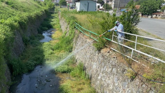 Kdz.Ereğli Belediyesi sivrisineklere karşı ilaçlama çalışması başlattı