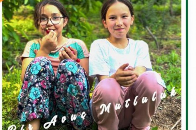 İzmir Bayındır'da kiraz festivali başlıyor