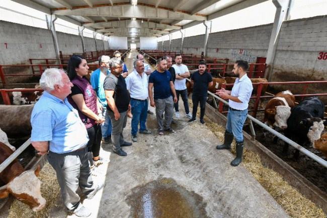 Çiftçiye ‘Hayvan besleme' eğitimi!