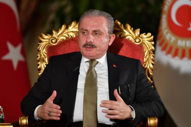 TBMM Başkanı Şentop'tan DBP'li Aydeniz'e sert tepki
