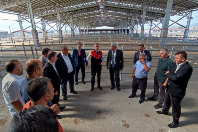 Çorum'da kurbanlık alarmı!