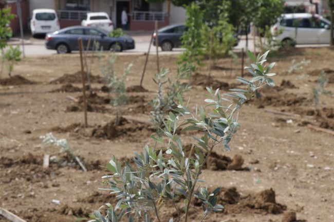 Kocaeli İzmit'te atık yağlar meyve verecek