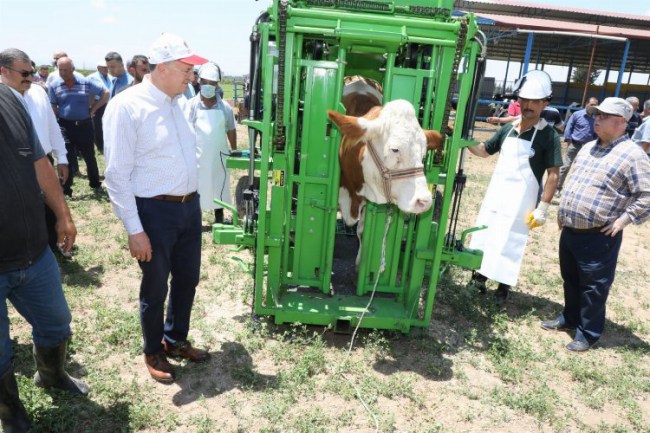 Hatay'da üreticiliğe verilen destek karşılığını buluyor