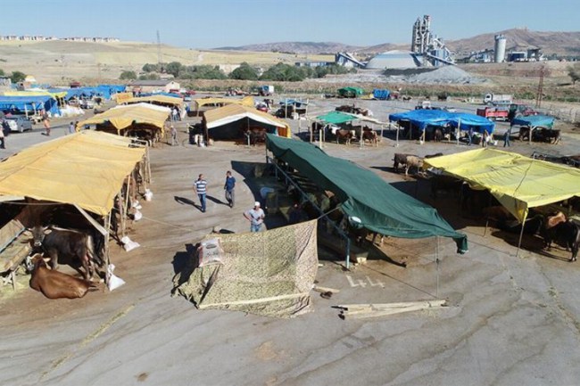 Sivas'ta kura çekimi yapıldı