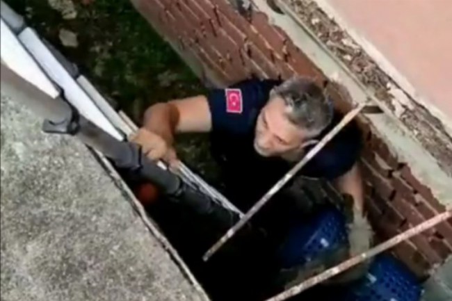 Bursa Mudanya'da itfaiye ekipleri mahsur kalan kediyi kurtardı