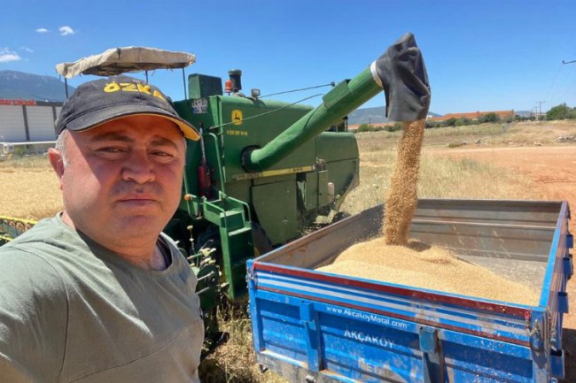 İzmir'de buğday hasadı yüz güldürmedi
