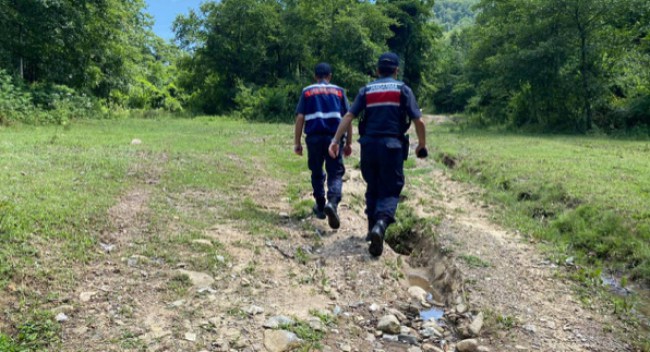 Jandarma orman yangınlarına karşı teyakkuzda