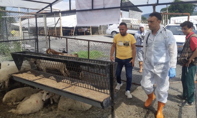 Kdz.Ereğli’de kurban pazarı kuruldu, belediye denetliyor