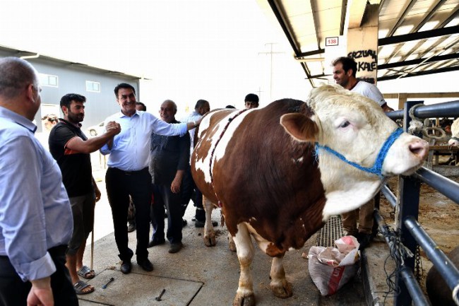 Türkiye'nin en modern kurban pazarında hareketli günler