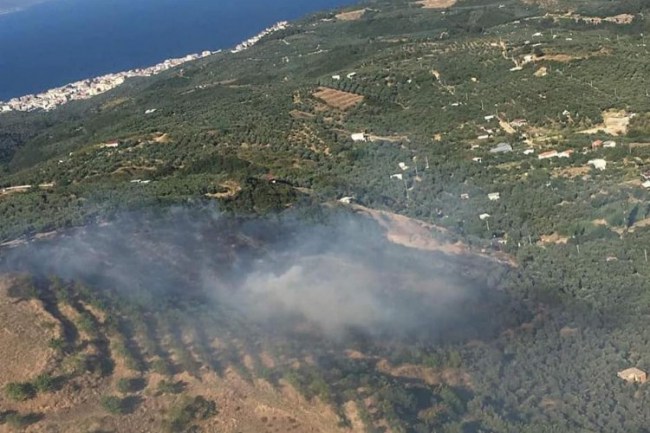 Bursa Mudanya'nın Çepni kırsalında orman yangını