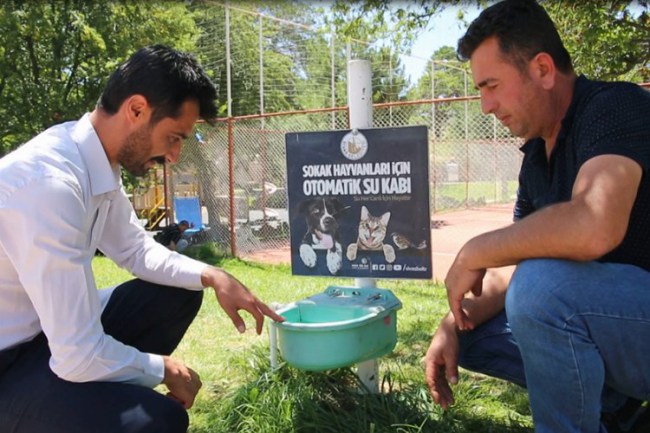 Sivas'ta sokak hayvanlarına otomatik sulama