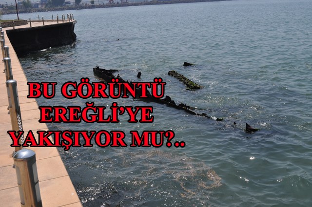 Gemi sahilden neden kaldırılmıyor?..
