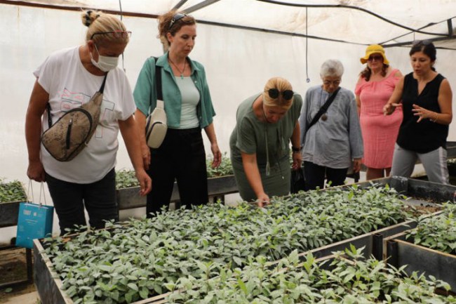 Tıbbi Aromatik Bitkiler Kursu'na yoğun ilgi